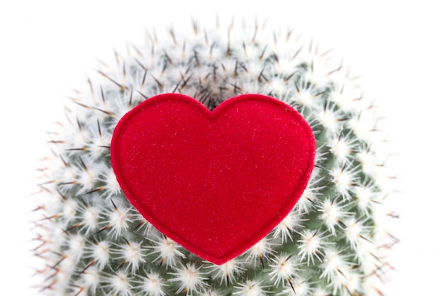 Corazón en cactus