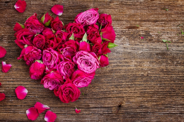 Corazón de capullos de rosas frescas aislado sobre fondo blanco.