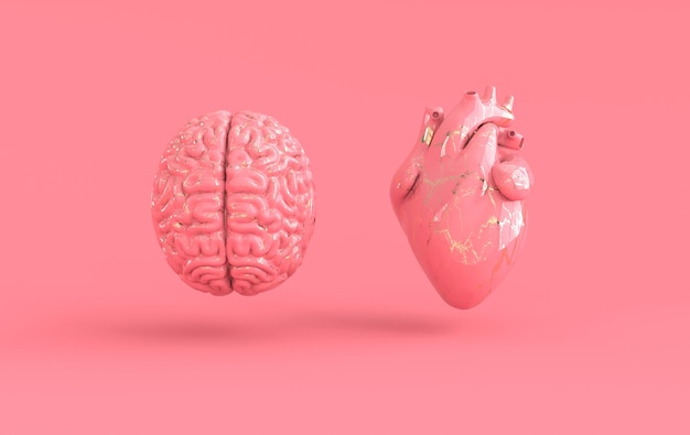 Foto corazón y cerebro renderizado 3d emociones y concepto de conflicto de pensamiento racional