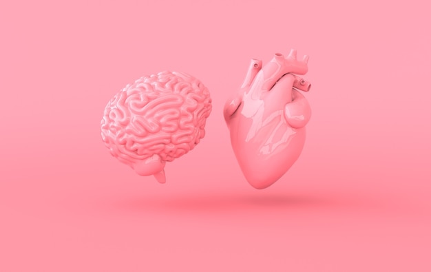 Corazón y cerebro renderizado 3d Emociones y concepto de conflicto de pensamiento racional