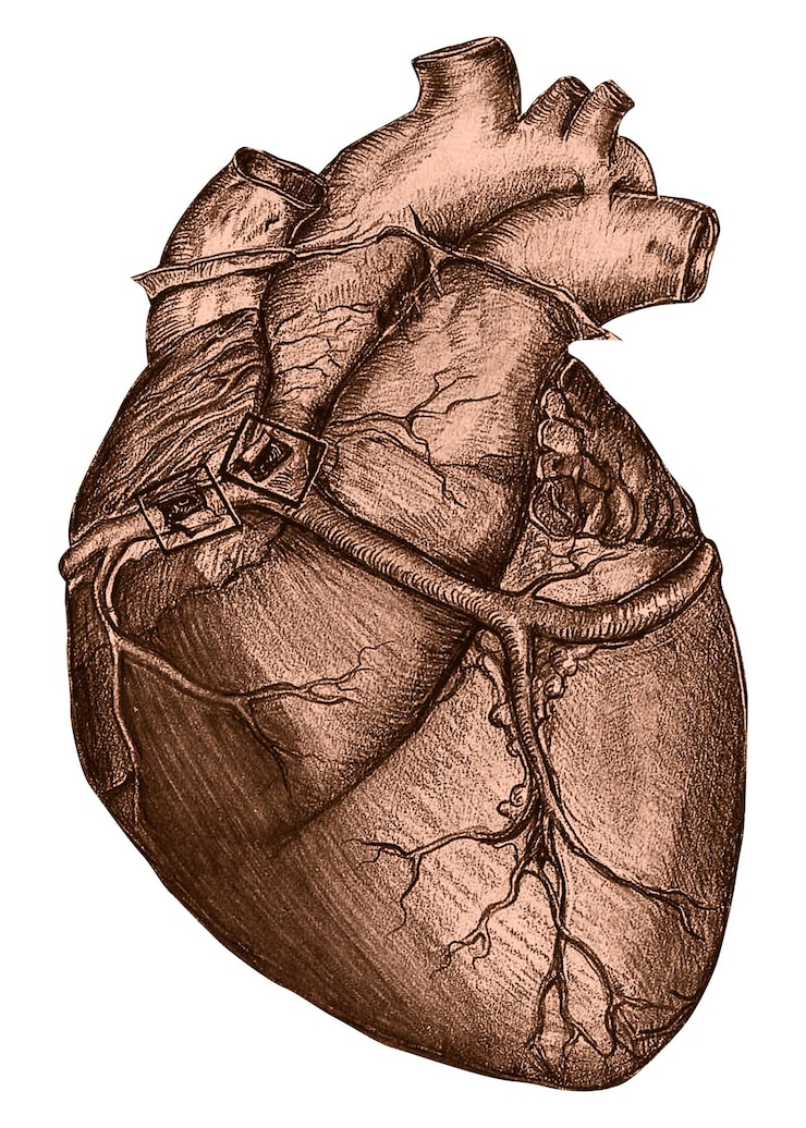 Foto corazón de cobre pegatina png salud bienestar fondo transparente