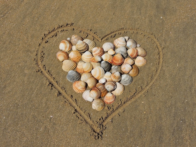 Corazón y conchas sobre arena.