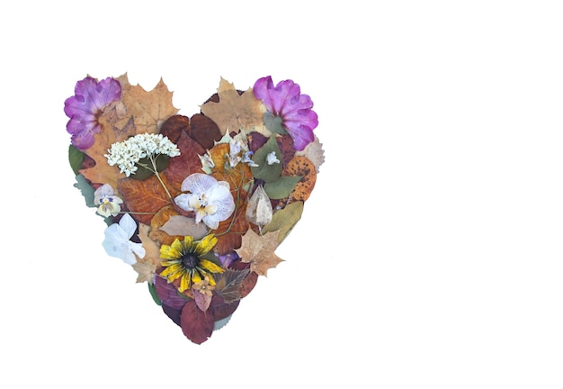 Corazón de flores secas, rodajas de naranja y pomelo y hojas de otoño. Composición decorativa. Elemento de diseño de otoño.