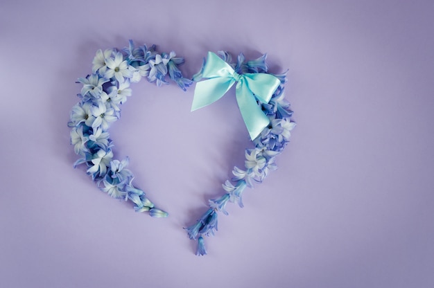 El corazón hecho de las flores de los jacintos y el arco de la menta en fondo púrpura.