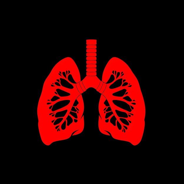 un corazón humano rojo con la palabra pulmones en él