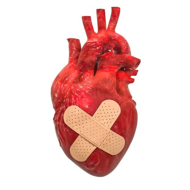 Corazón humano con yeso adhesivo Tratamiento del concepto de enfermedad cardíaca Representación 3D