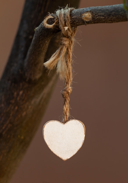 Corazón de madera colgando en la rama.