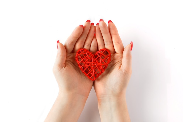 Un corazón en las manos sobre un fondo blanco. Corazón rojo en palmas abiertas sobre un fondo blanco.