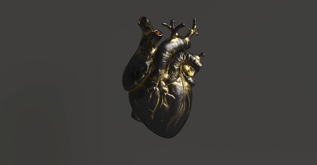 Corazón negro con anatómico dorado. Imagen conceptual de anatomía y medicina.