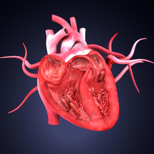 un corazón que tiene un corazón rojo en él