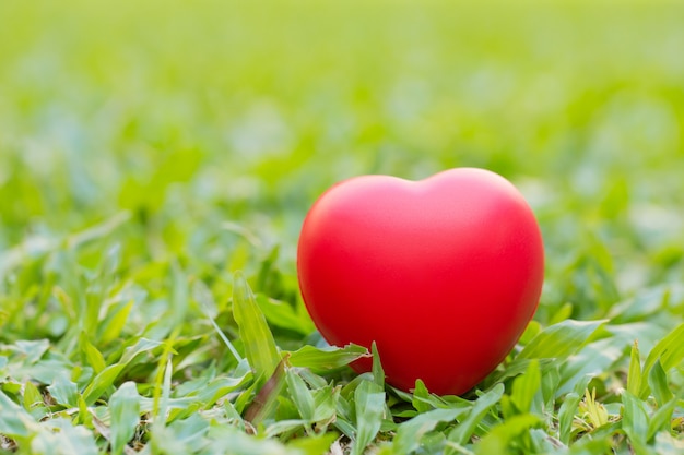 Corazón rojo colocado sobre la hierba verde