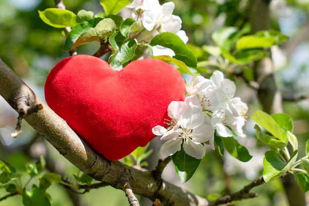 Corazón rojo en floresFondo del día de San Valentín