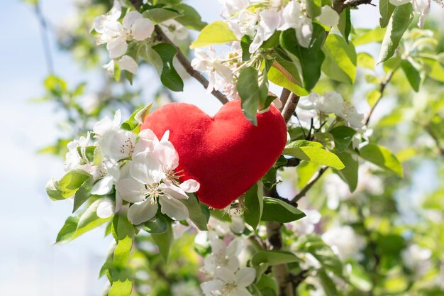 Corazón rojo en floresFondo del día de San Valentín