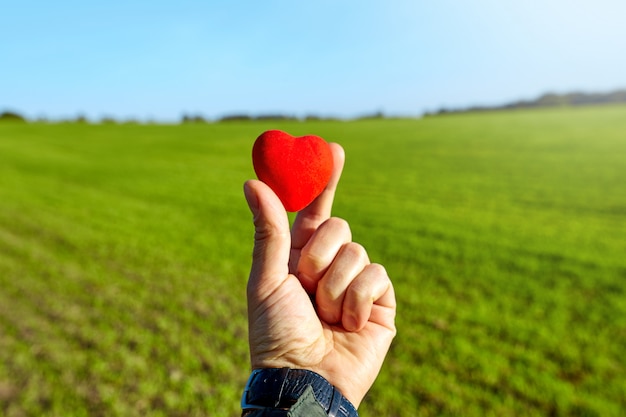 Corazón rojo en la mano. romántico.