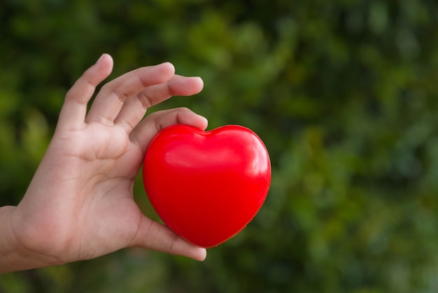 Corazón rojo en la mano