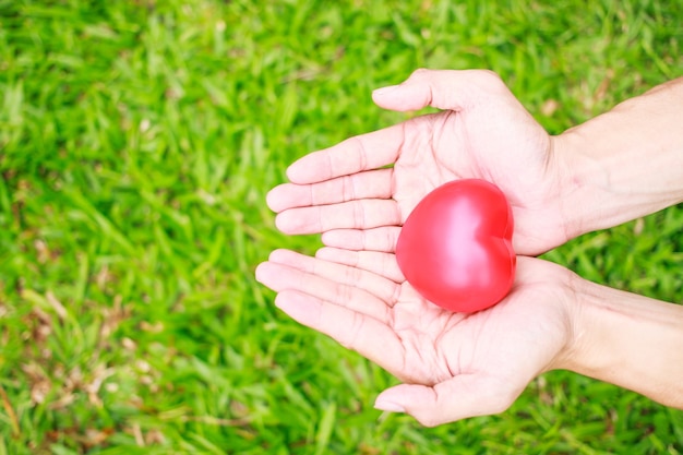 Corazón rojo en las manos del hombre, sobre fondo verde