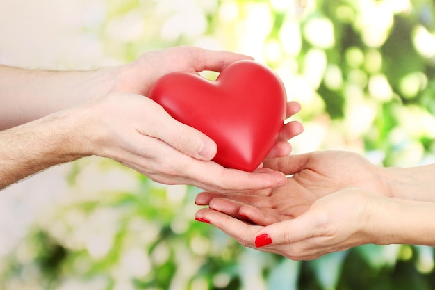 Corazón rojo en manos de mujer y hombre, sobre fondo verde