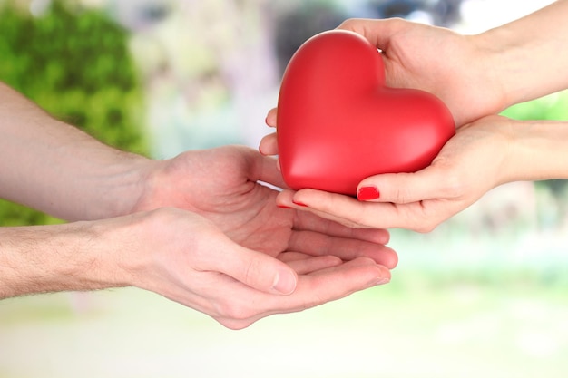 Corazón rojo en manos de mujer y hombre, sobre fondo verde