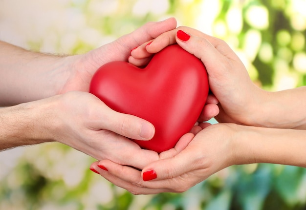 Corazón rojo en manos de mujer y hombre, sobre fondo verde