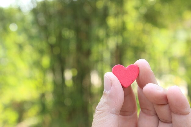 Corazón rojo sostenga en la mano