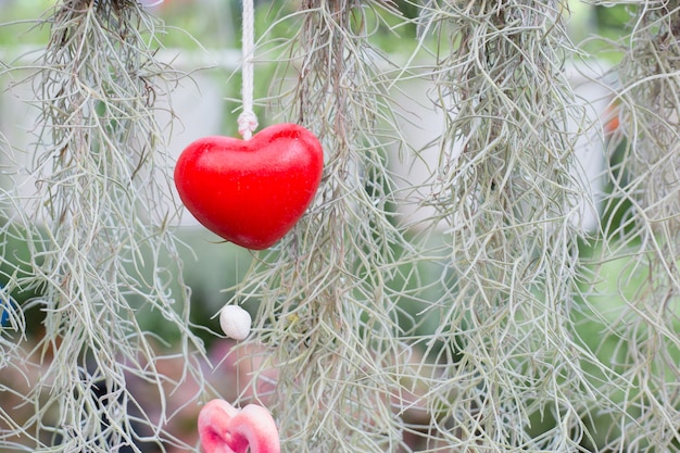 Corazón rojo.