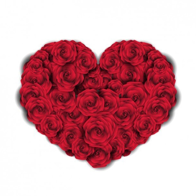 El corazón de las rosas rojas