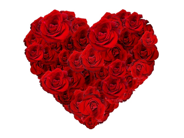 Corazón de San Valentín hecho de rosas rojas aisladas sobre un fondo blanco