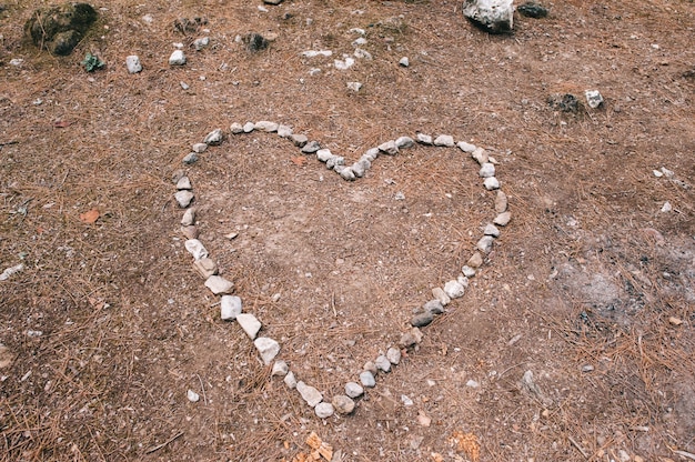 El corazón de la tierra