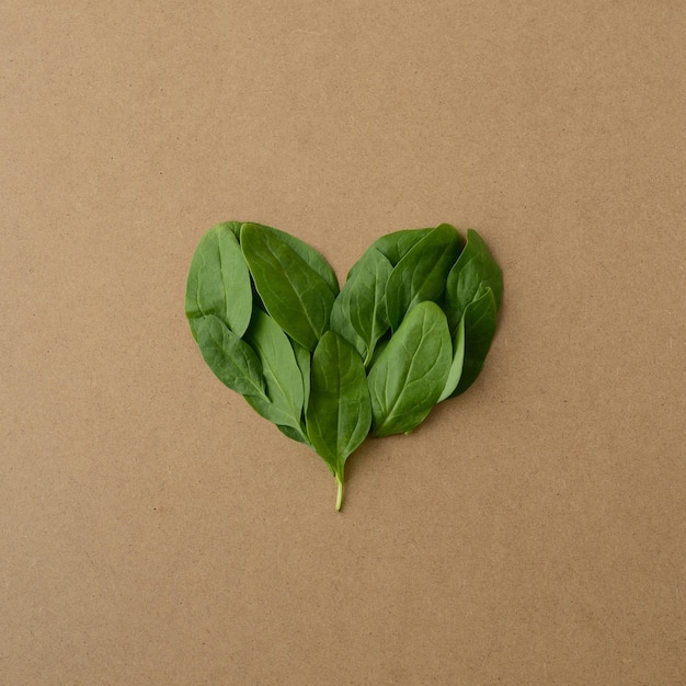 Corazón verde Forma de corazón en hojas de espinacas verdes frescas Día de San Valentín Fondo de kraft de amor verde