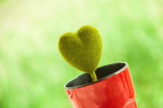 Foto corazón verde en taza roja sobre fondo verde.