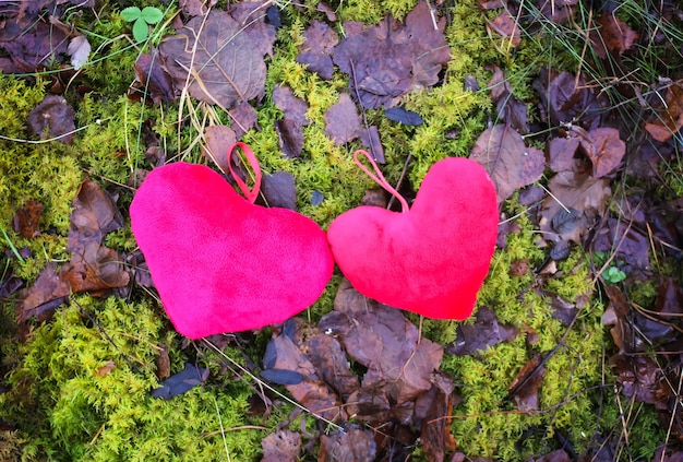 Corazones de felpa en hojas de otoño y fondo verde musgo húmedo en un parque.