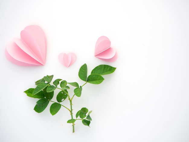 Corazones de papel rosa amor creativo