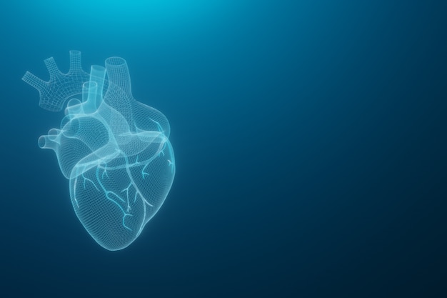 Los corazones del wireframe 3D rinden aislado