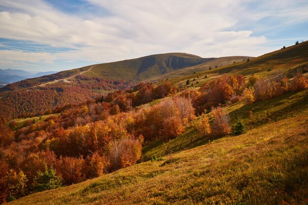 Cordilheira do outono montanhas dos cárpatos ucrânia trilhas para caminhadas e caminhadas no cume de borzhava área rural das montanhas dos cárpatos no outono