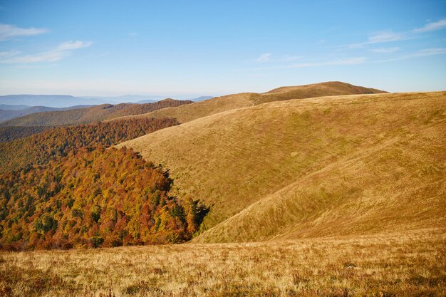 Cordilheira do outono Montanhas dos Cárpatos Ucrânia Trilhas para caminhadas e caminhadas no cume de Borzhava Área rural das montanhas dos Cárpatos no outono