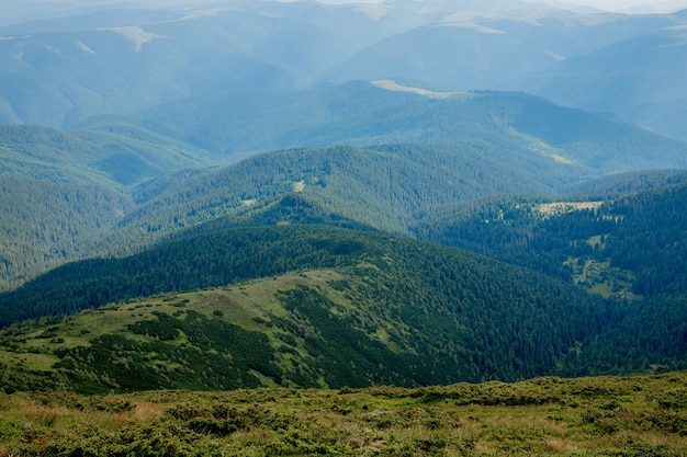 Cordilheira dos Cárpatos na manhã de verão. Beleza da natureza virgem selvagem ucraniana. Paz.