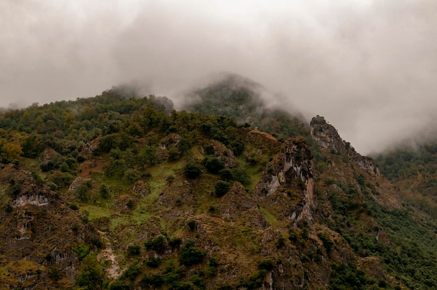 Cordilheira dos Picos de Europa