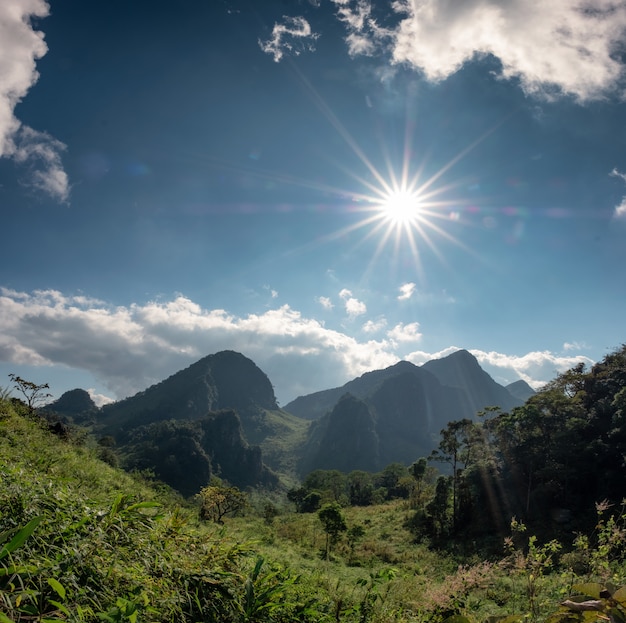 Cordilheira na floresta tropical com sol no santuário de animais selvagens