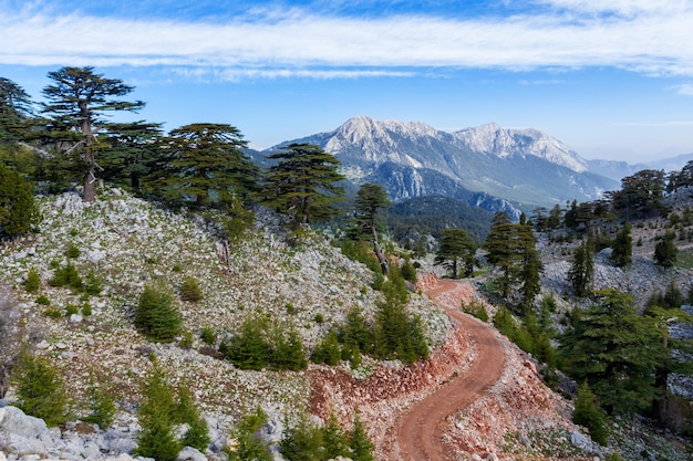 Cordilheira nas montanhas Taurus cedros libaneses nas encostas das montanhas ao pôr do sol Panoramas da trilha Lícia na Turquia