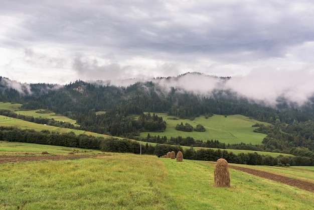 Cordilheira Pieniny em um dia nublado