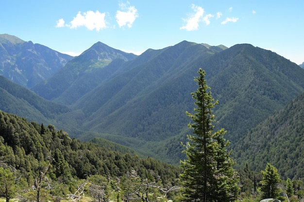 una cordillera con árboles y montañas en el fondo