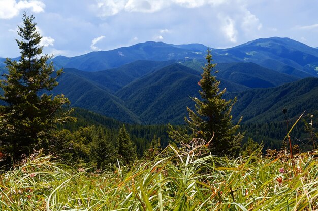 Foto una cordillera con árboles y montañas en el fondo