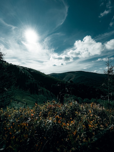 Cordillera Borzhavsky Cárpatos Ucrania paisaje de montaña