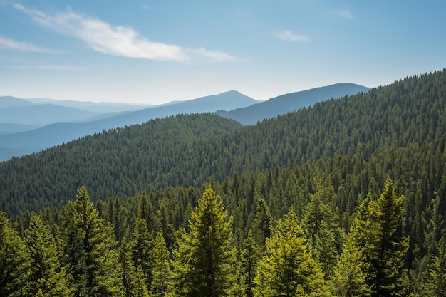 una cordillera con un bosque de árboles y montañas en el fondo