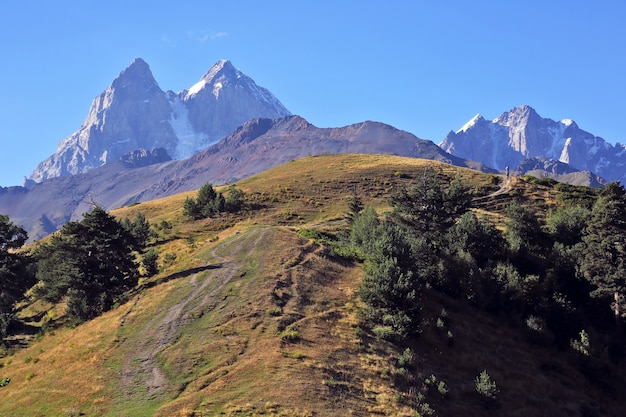 Foto la cordillera del cáucaso en georgia. paisaje de la montaña ushba