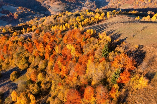 Cordillera cubierta de bosques de terracota y árboles amarillos vívidos bajo un cielo nublado gris en la sombría vista panorámica del día de otoño