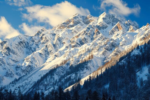 cordillera cubierta de nieve