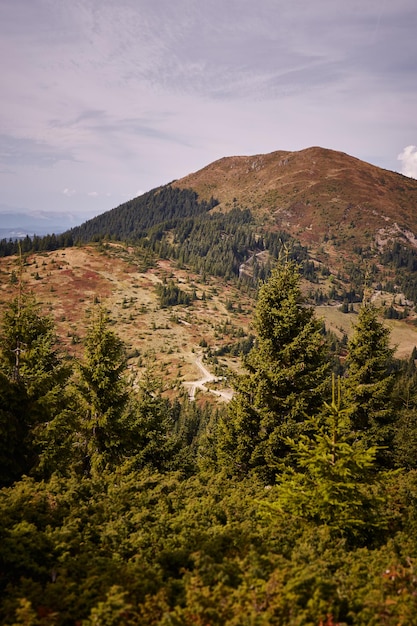 Cordillera de Marmaros en otoño Montaña de los Cárpatos Ucrania Rutas de senderismo y caminatas en la cresta de MArmaros Zona rural de las montañas de los Cárpatos en otoño