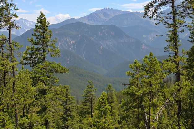 una cordillera con una montaña en el fondo