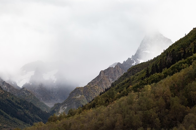 Cordillera nevada en las nubes. Denso bosque en las laderas de las montañas del Cáucaso, Rusia